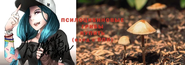 мяу мяу мука Михайлов