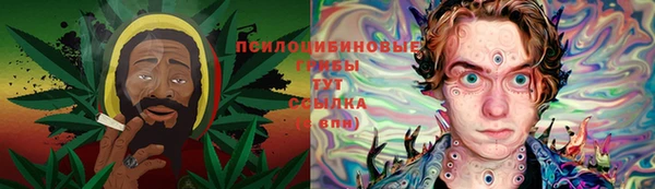 ГАЛЛЮЦИНОГЕННЫЕ ГРИБЫ Наволоки