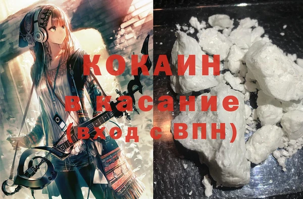 ГАЛЛЮЦИНОГЕННЫЕ ГРИБЫ Наволоки