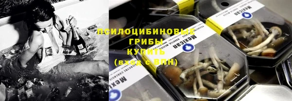 ГАЛЛЮЦИНОГЕННЫЕ ГРИБЫ Наволоки